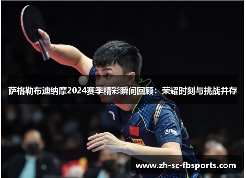 萨格勒布迪纳摩2024赛季精彩瞬间回顾:荣耀时刻与挑战并存 萨格勒布迪纳摩2024赛季精彩瞬间回顾:荣耀时刻与挑战并存