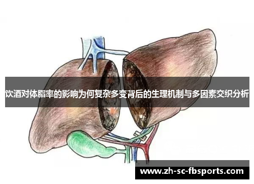饮酒对体脂率的影响为何复杂多变背后的生理机制与多因素交织分析
